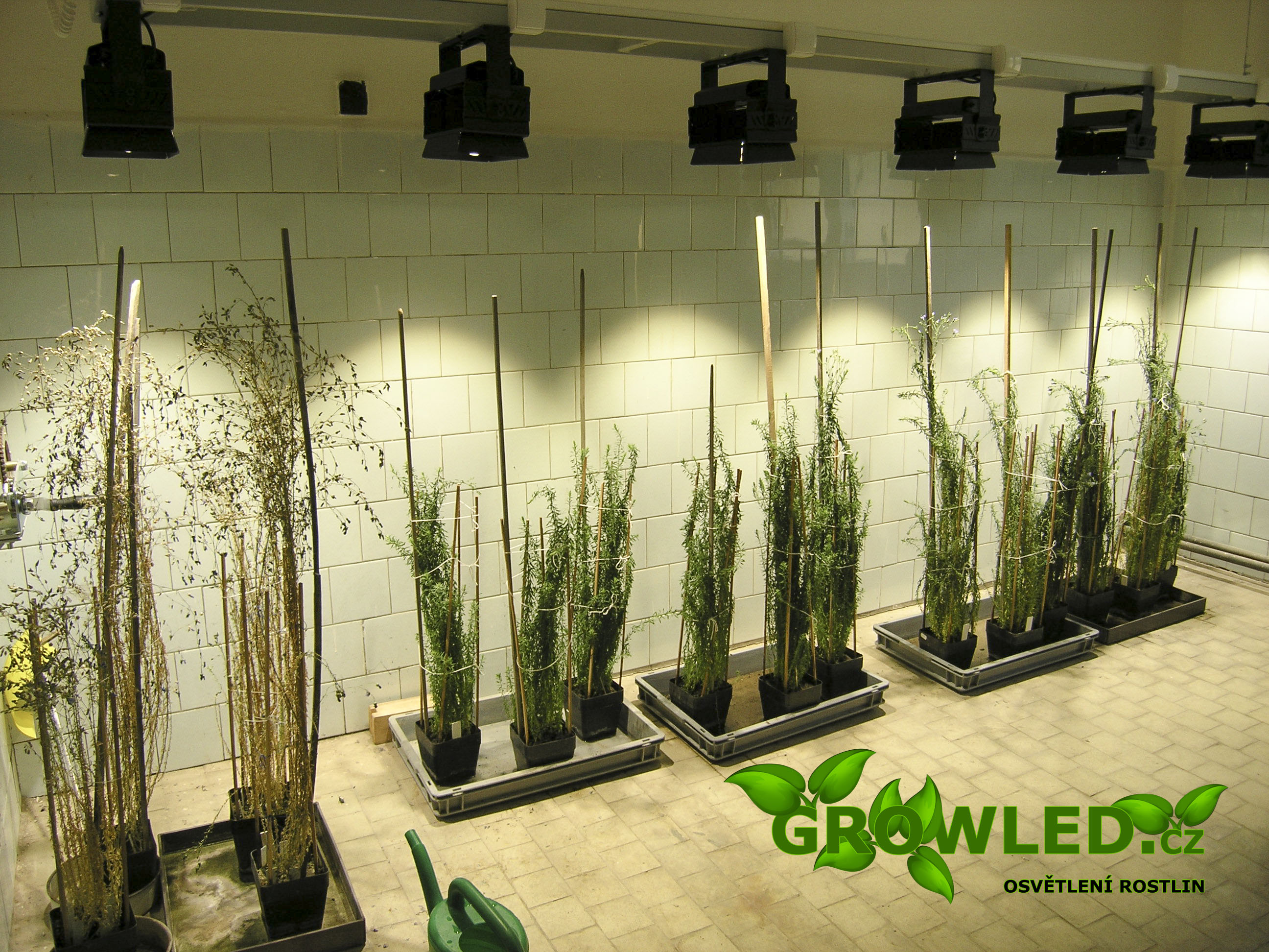 GROW_LED_osvetleni_kultivační místnosti_SELTON_GROW_LED_cz